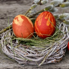 Nest with dyed Easter eggs and willow catkins