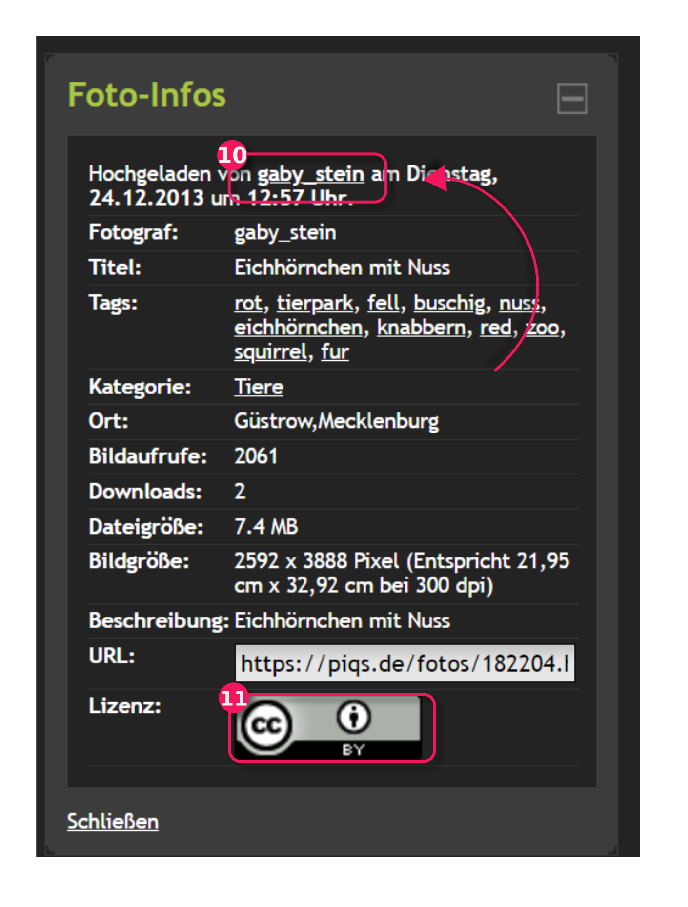 dd5fertig