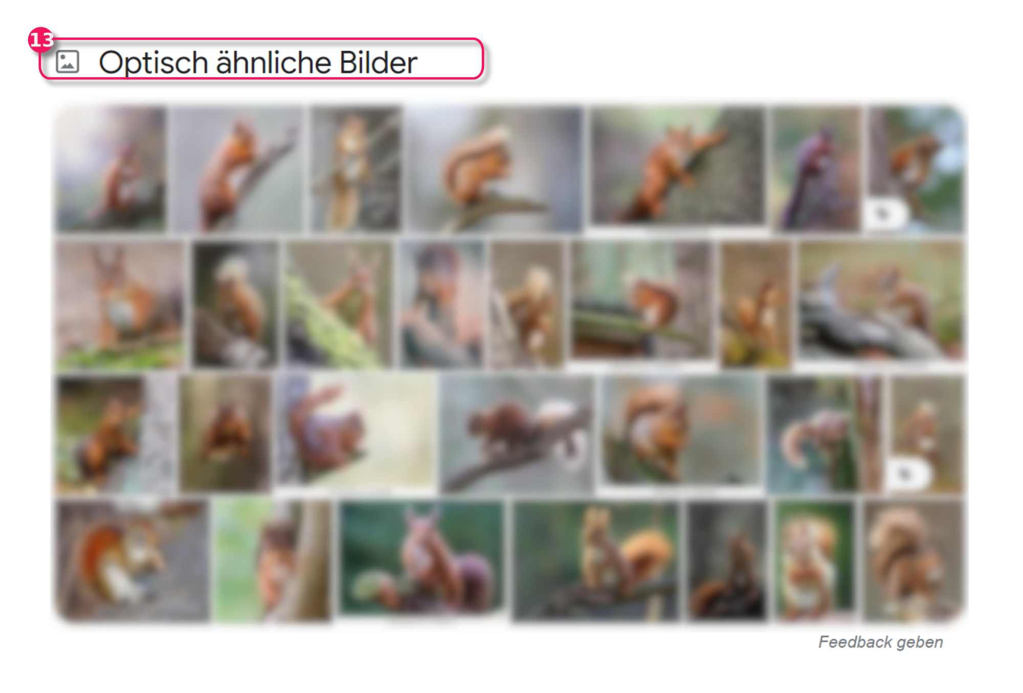 screenshot Google Bilderrückwärtssuche Ergebnis